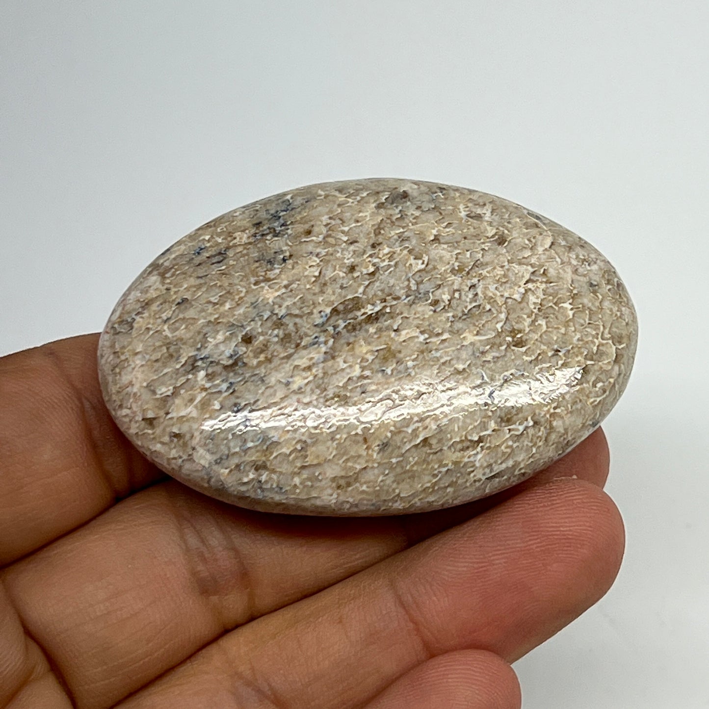 48.7g,2.2"x1.5"x0.7", Small Dinosaur Bones Palm-Stone from Morocco, B20466