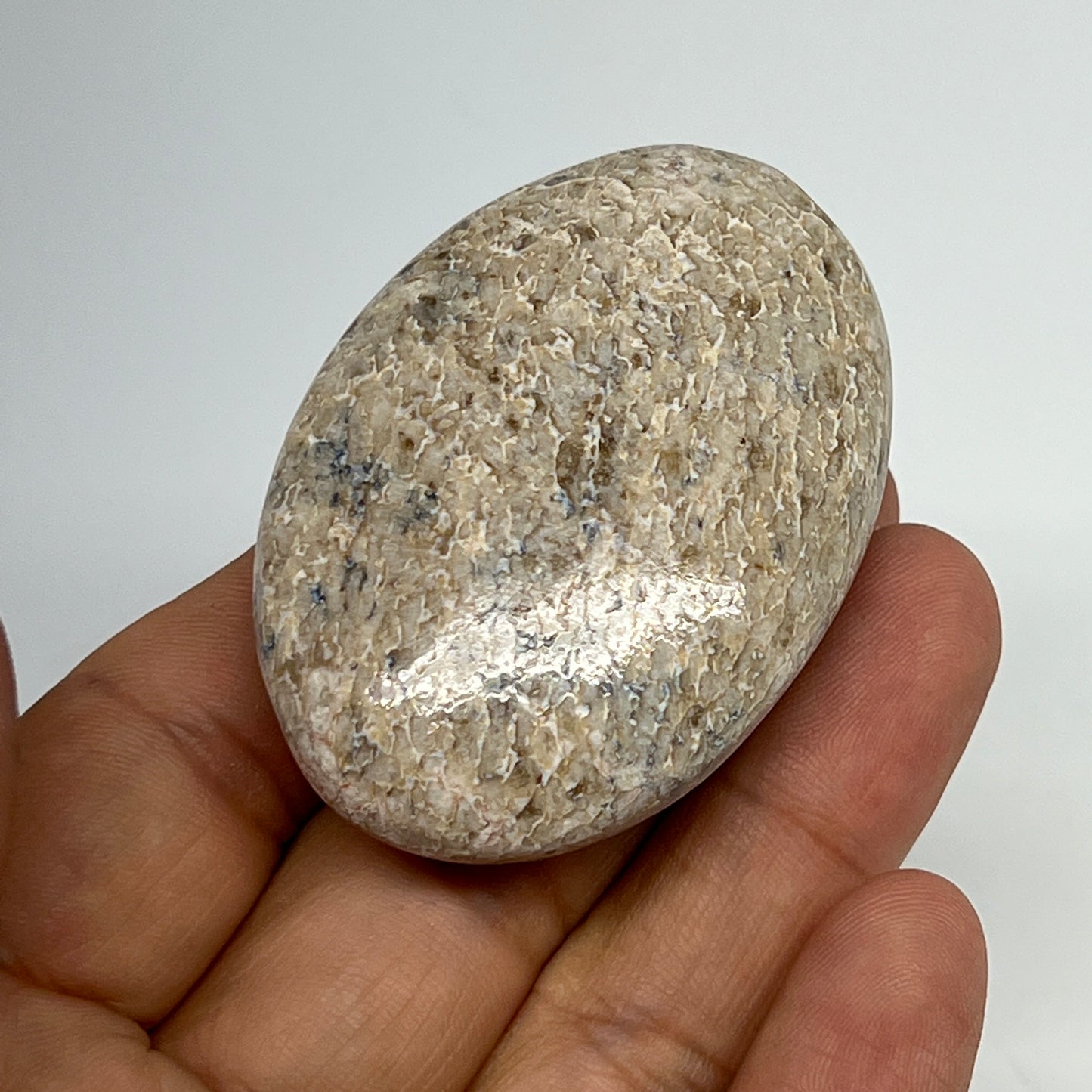 48.7g,2.2"x1.5"x0.7", Small Dinosaur Bones Palm-Stone from Morocco, B20466