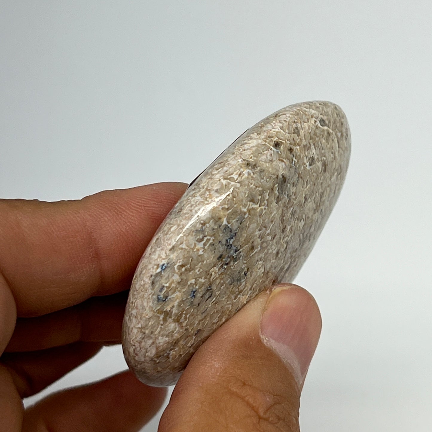 48.7g,2.2"x1.5"x0.7", Small Dinosaur Bones Palm-Stone from Morocco, B20466
