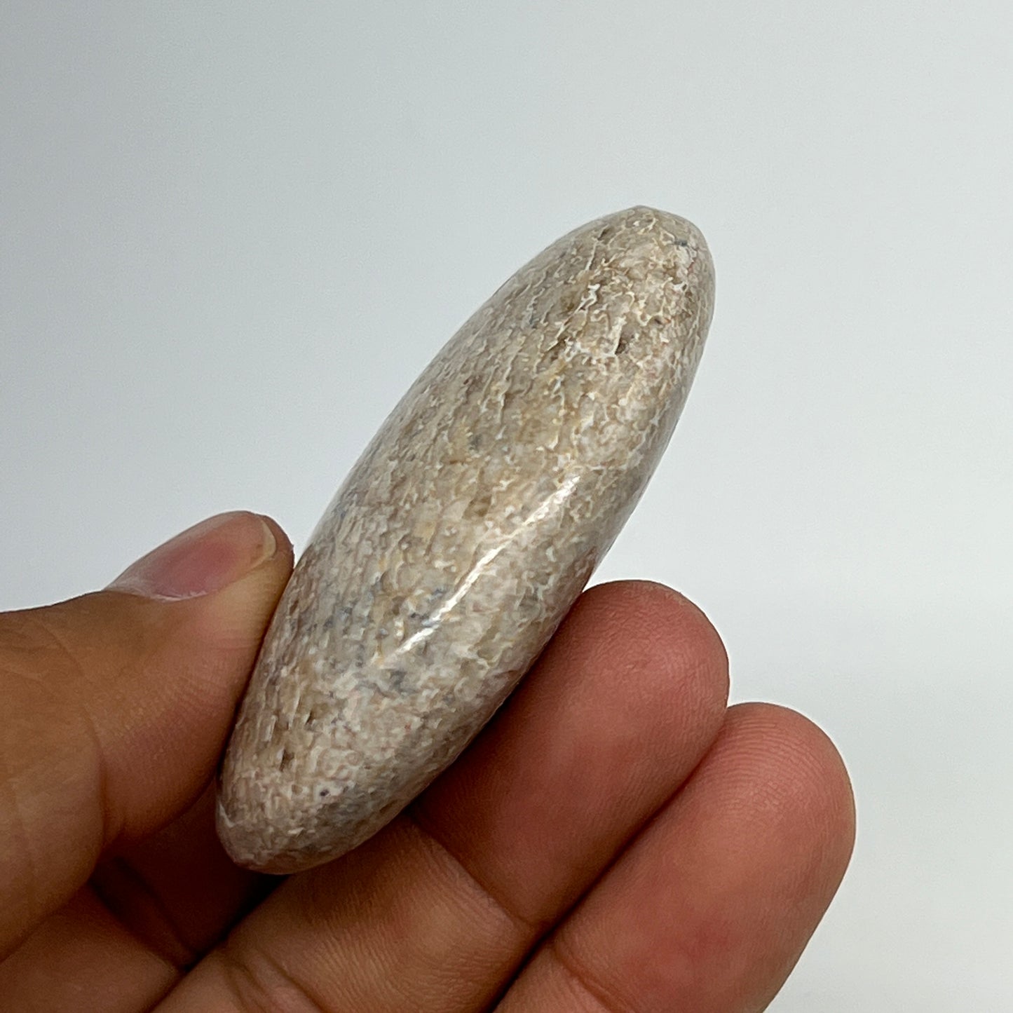 48.7g,2.2"x1.5"x0.7", Small Dinosaur Bones Palm-Stone from Morocco, B20466