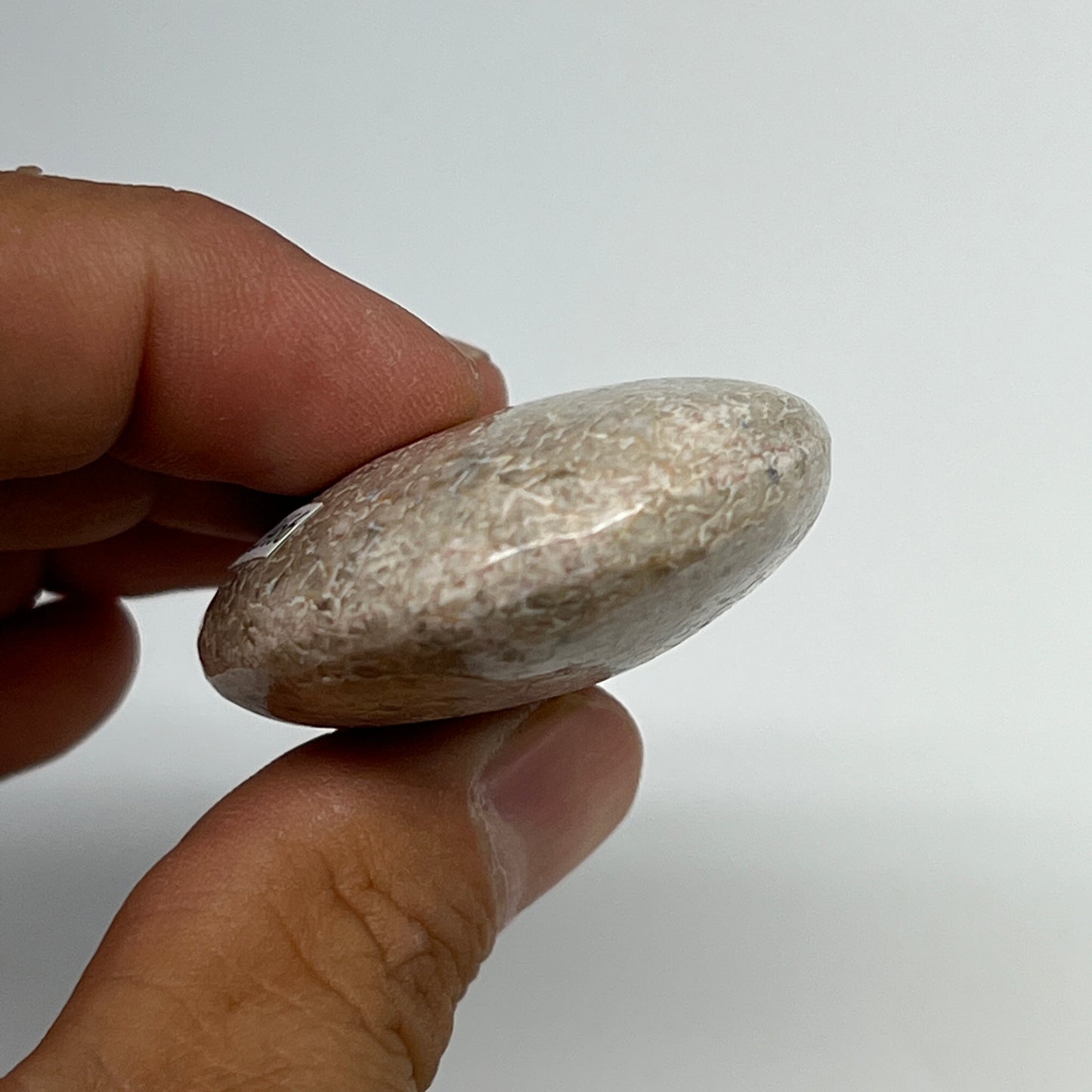 48.7g,2.2"x1.5"x0.7", Small Dinosaur Bones Palm-Stone from Morocco, B20466