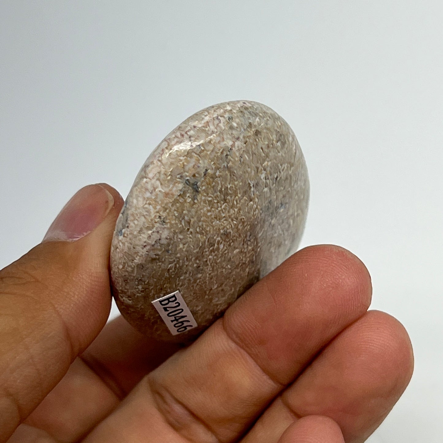 48.7g,2.2"x1.5"x0.7", Small Dinosaur Bones Palm-Stone from Morocco, B20466