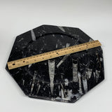 2pcs, 12" Large Octagon Shape Black Fossils Orthoceras Plates @Morocco, B8301