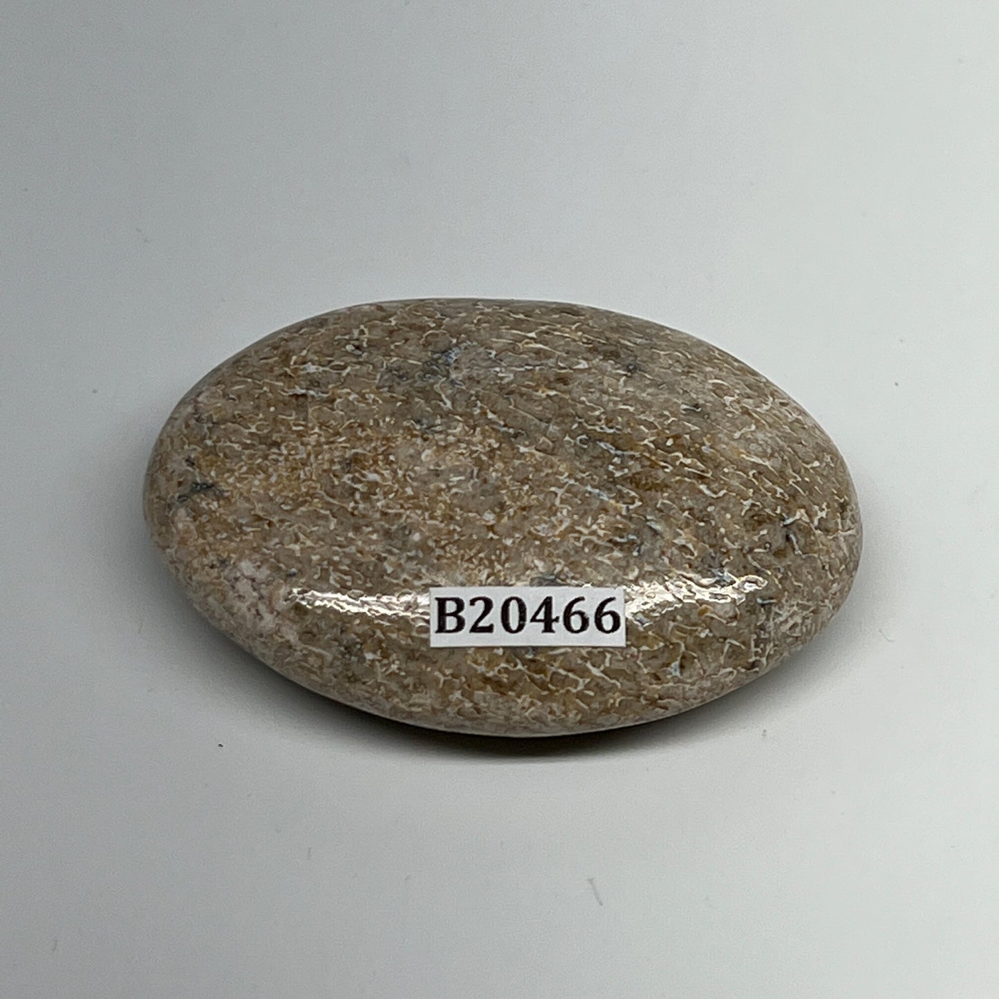 48.7g,2.2"x1.5"x0.7", Small Dinosaur Bones Palm-Stone from Morocco, B20466