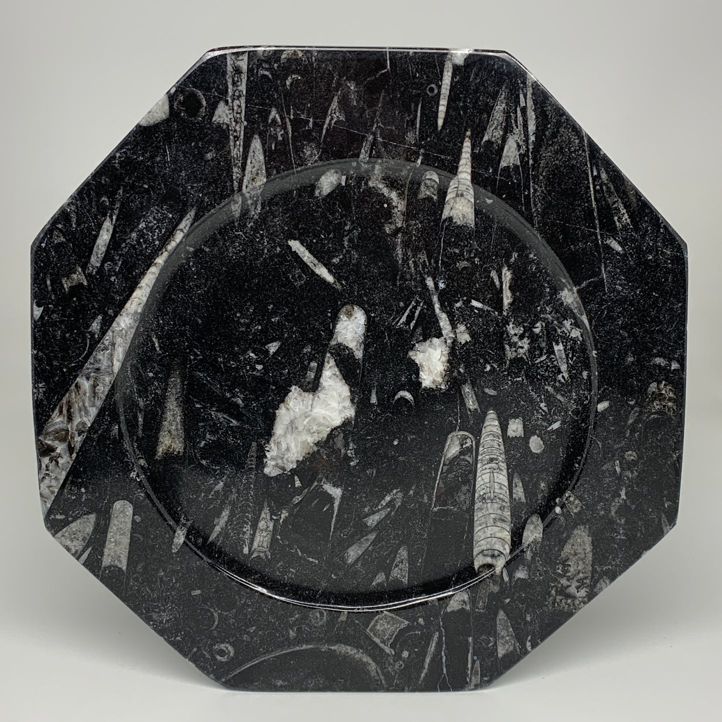 2pcs, 12" Large Octagon Shape Black Fossils Orthoceras Plates @Morocco, B8302