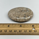 48.7g,2.2"x1.5"x0.7", Small Dinosaur Bones Palm-Stone from Morocco, B20466