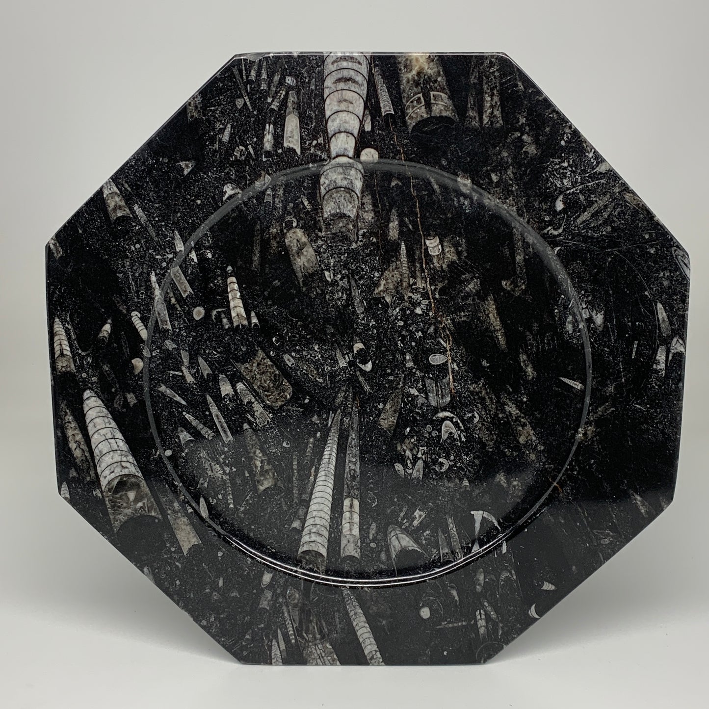 2pcs, 12" Large Octagon Shape Black Fossils Orthoceras Plates @Morocco, B8302