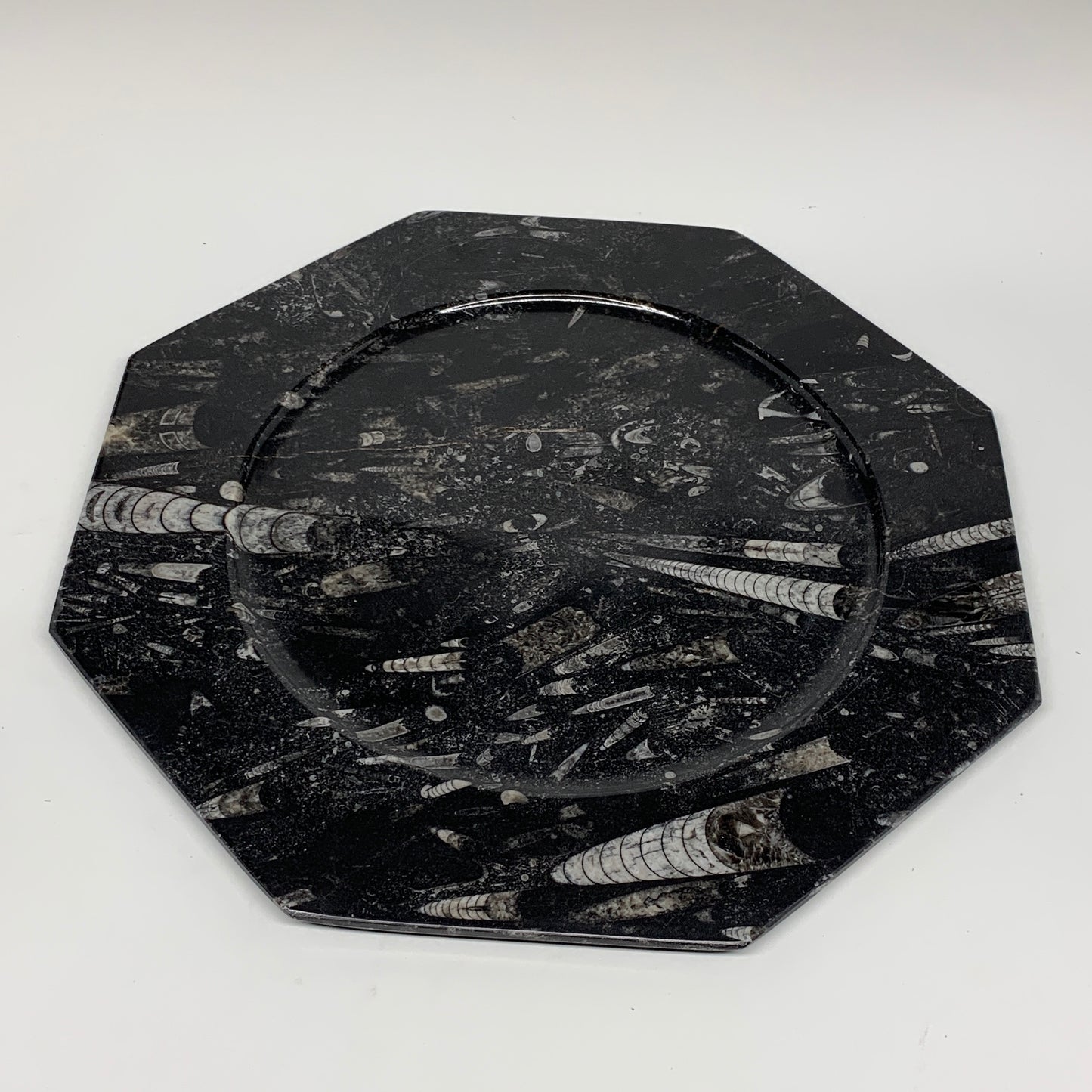 2pcs, 12" Large Octagon Shape Black Fossils Orthoceras Plates @Morocco, B8302
