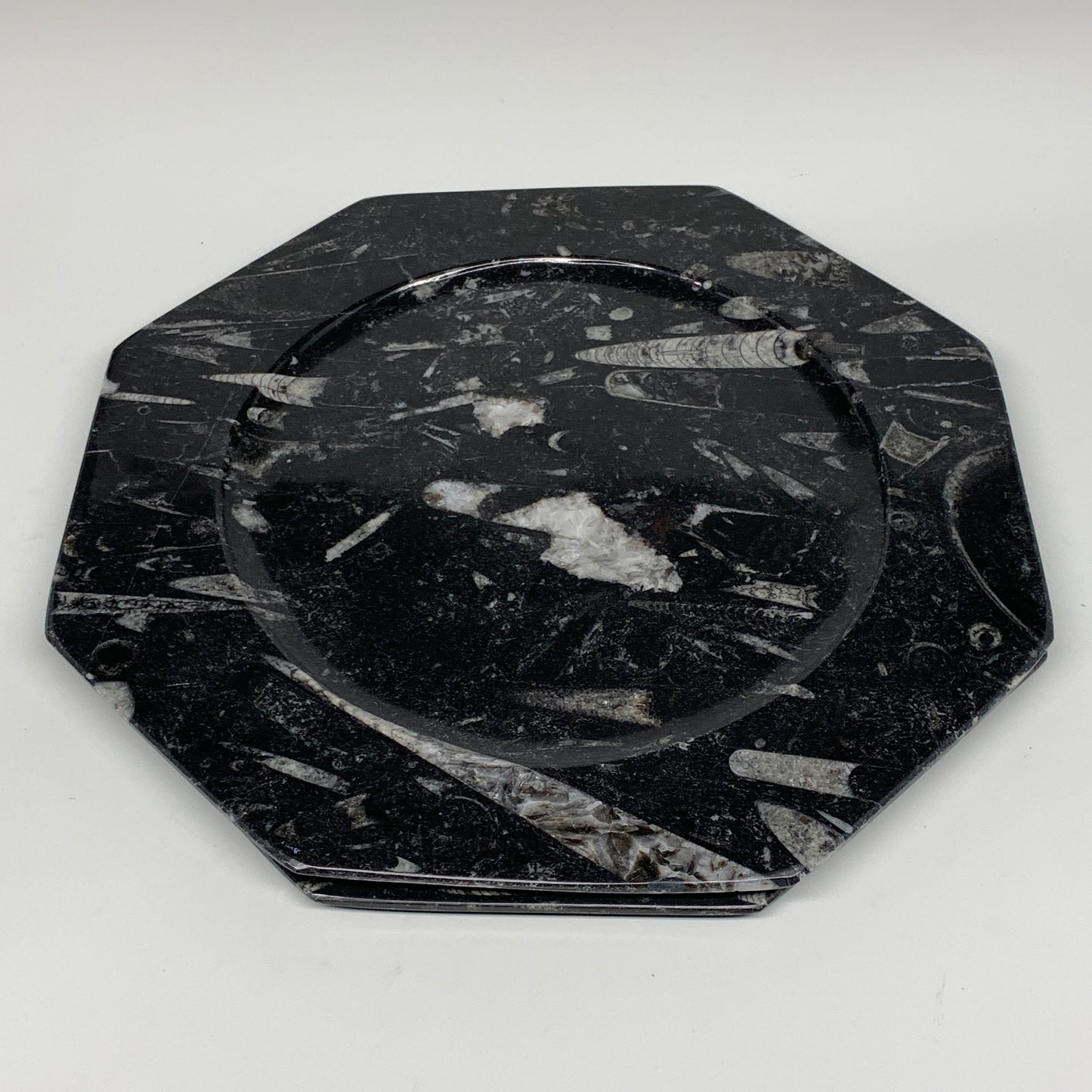 2pcs, 12" Large Octagon Shape Black Fossils Orthoceras Plates @Morocco, B8302