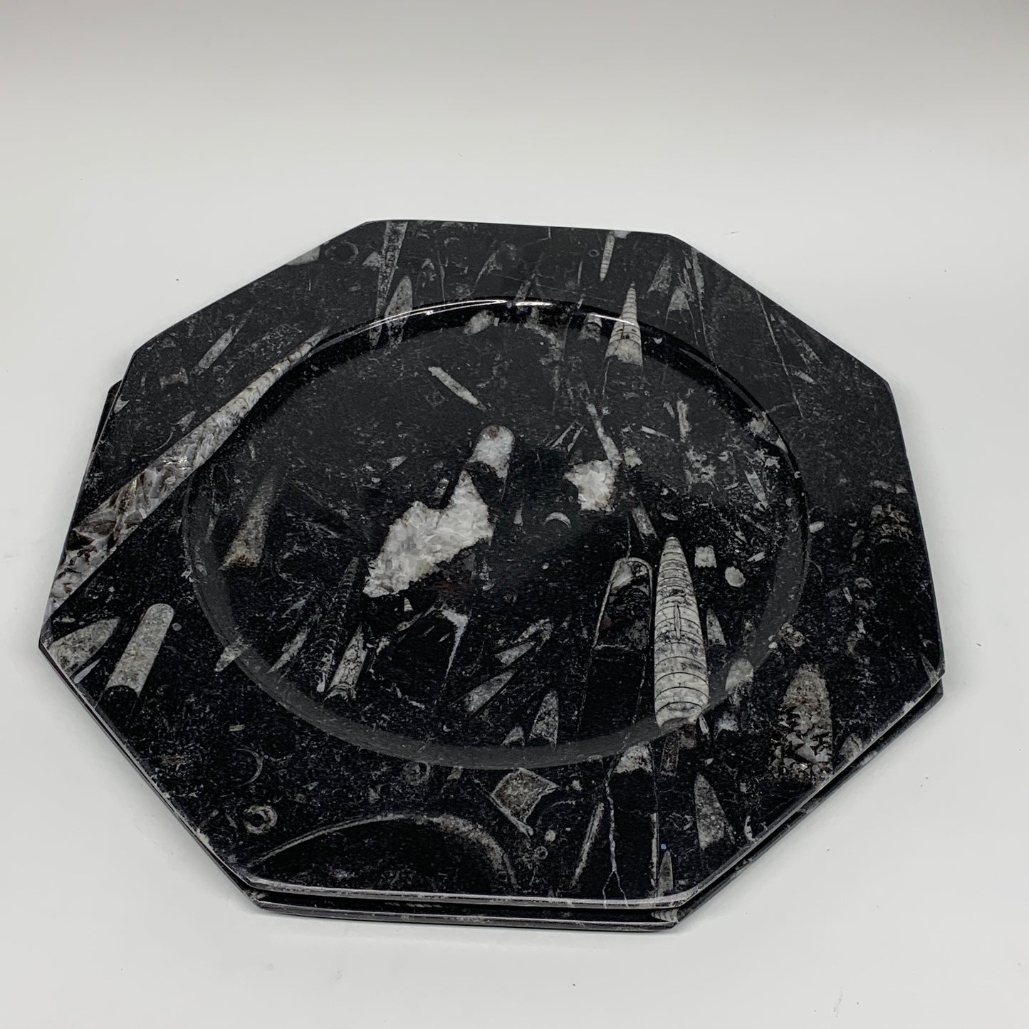 2pcs, 12" Large Octagon Shape Black Fossils Orthoceras Plates @Morocco, B8302