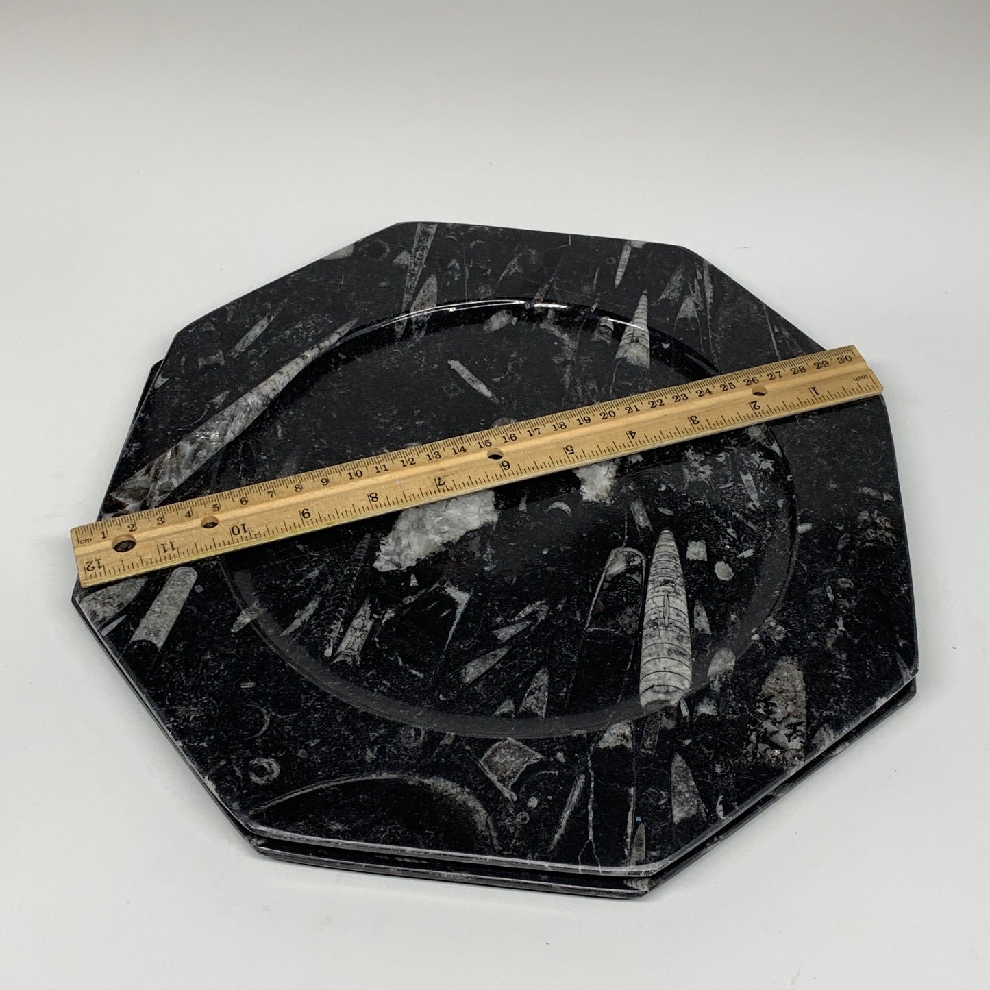 2pcs, 12" Large Octagon Shape Black Fossils Orthoceras Plates @Morocco, B8302