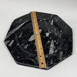2pcs, 12" Large Octagon Shape Black Fossils Orthoceras Plates @Morocco, B8302
