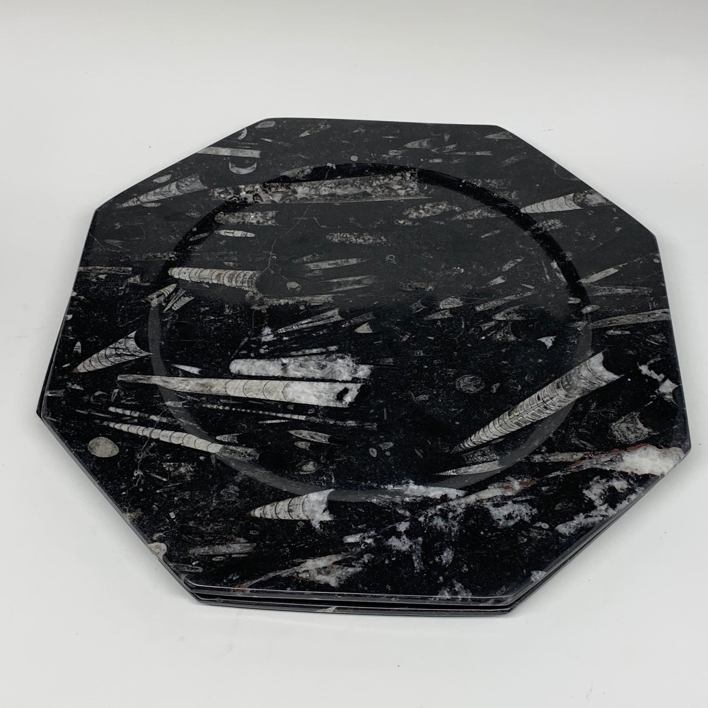 2pcs, 12" Large Octagon Shape Black Fossils Orthoceras Plates @Morocco, B8303