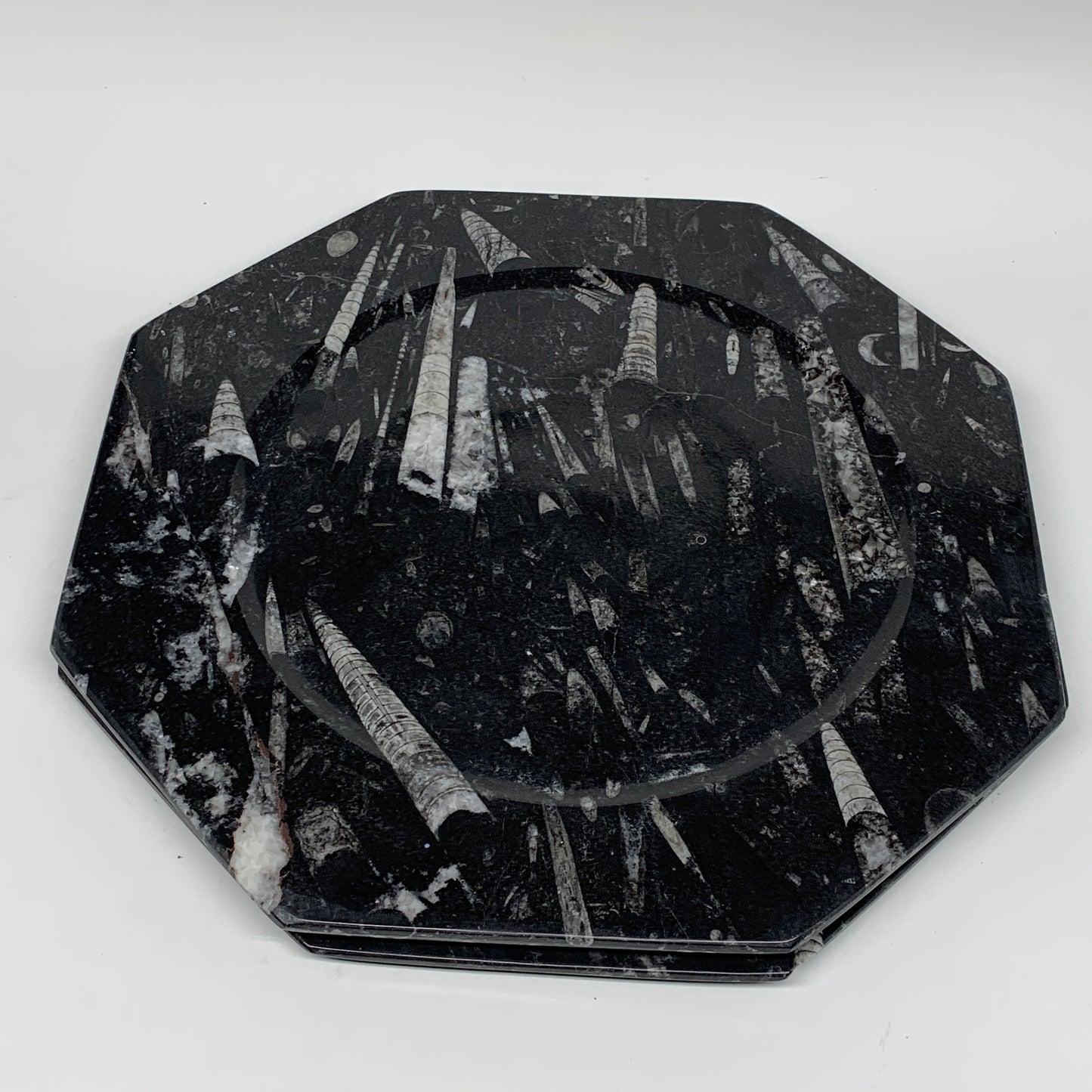 2pcs, 12" Large Octagon Shape Black Fossils Orthoceras Plates @Morocco, B8303