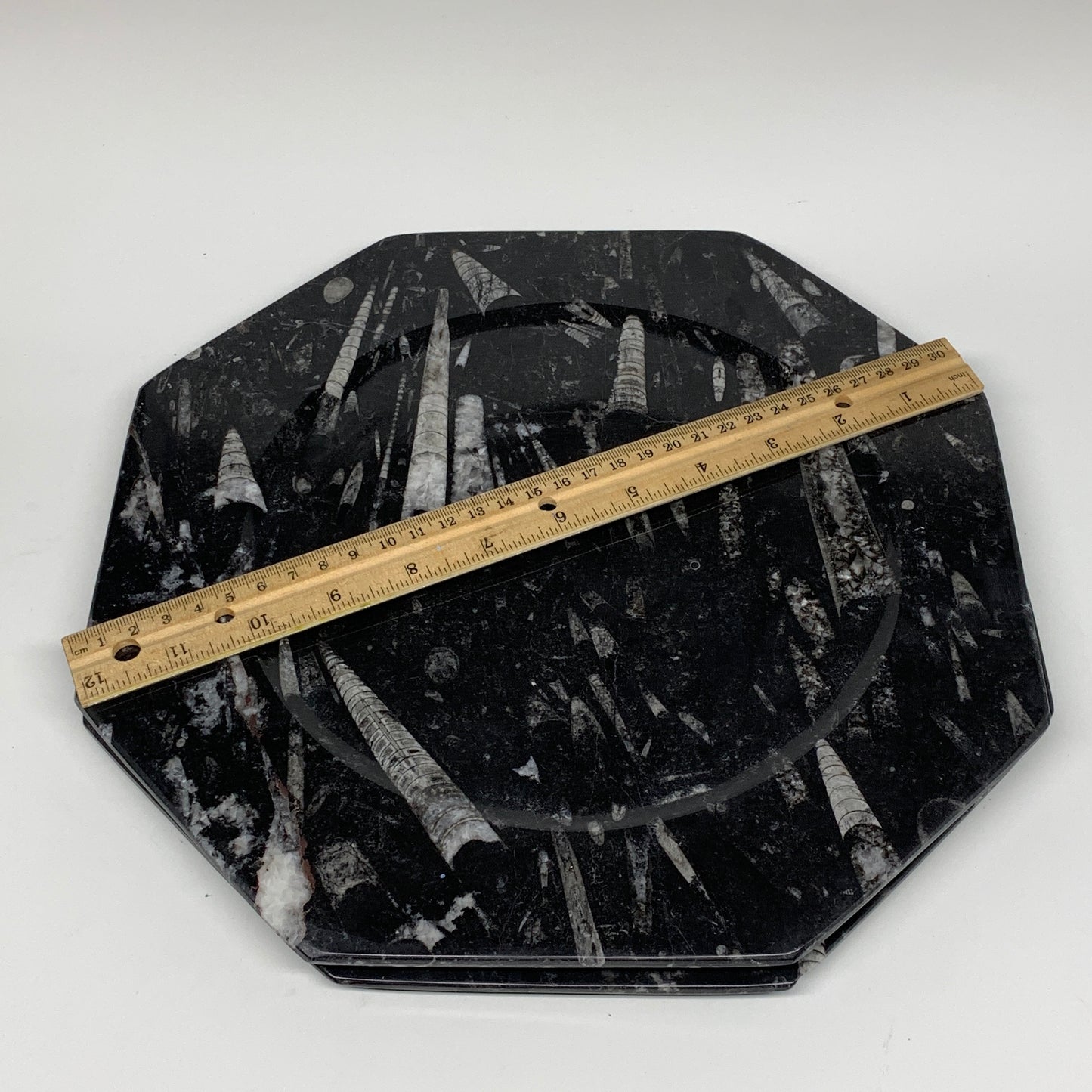 2pcs, 12" Large Octagon Shape Black Fossils Orthoceras Plates @Morocco, B8303