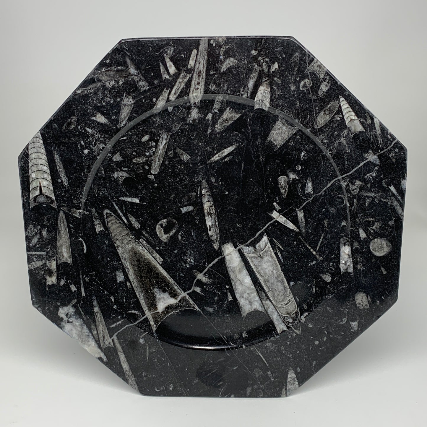 2pcs, 12" Large Octagon Shape Black Fossils Orthoceras Plates @Morocco, B8304