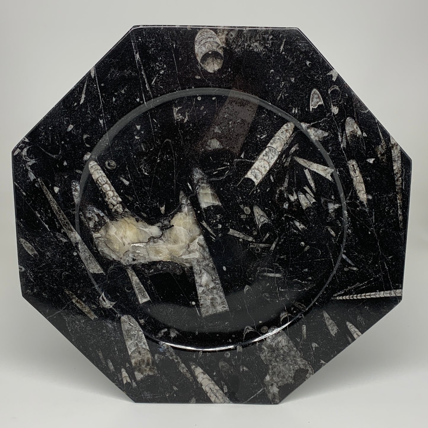 2pcs, 12" Large Octagon Shape Black Fossils Orthoceras Plates @Morocco, B8304