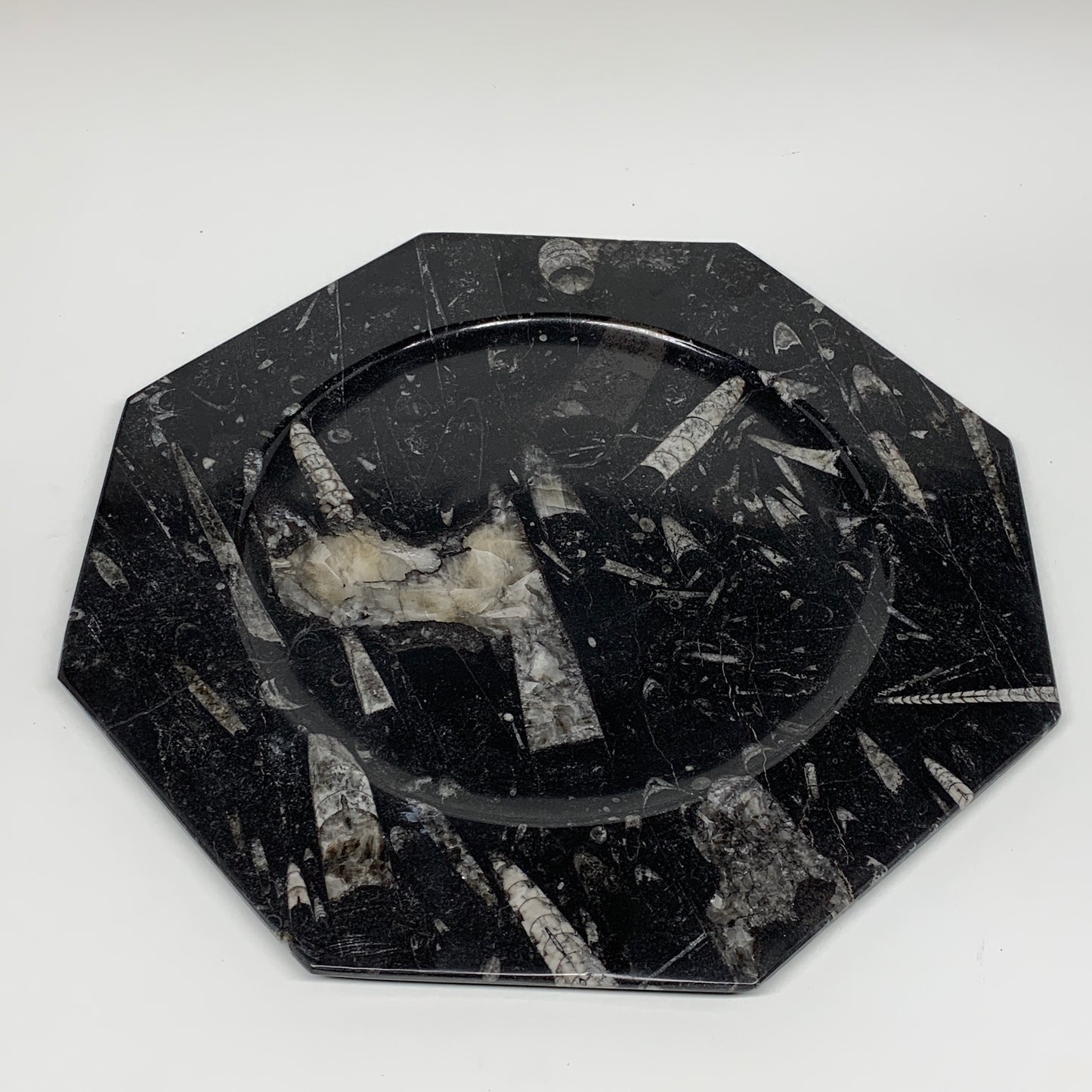 2pcs, 12" Large Octagon Shape Black Fossils Orthoceras Plates @Morocco, B8304