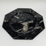 2pcs, 12" Large Octagon Shape Black Fossils Orthoceras Plates @Morocco, B8304