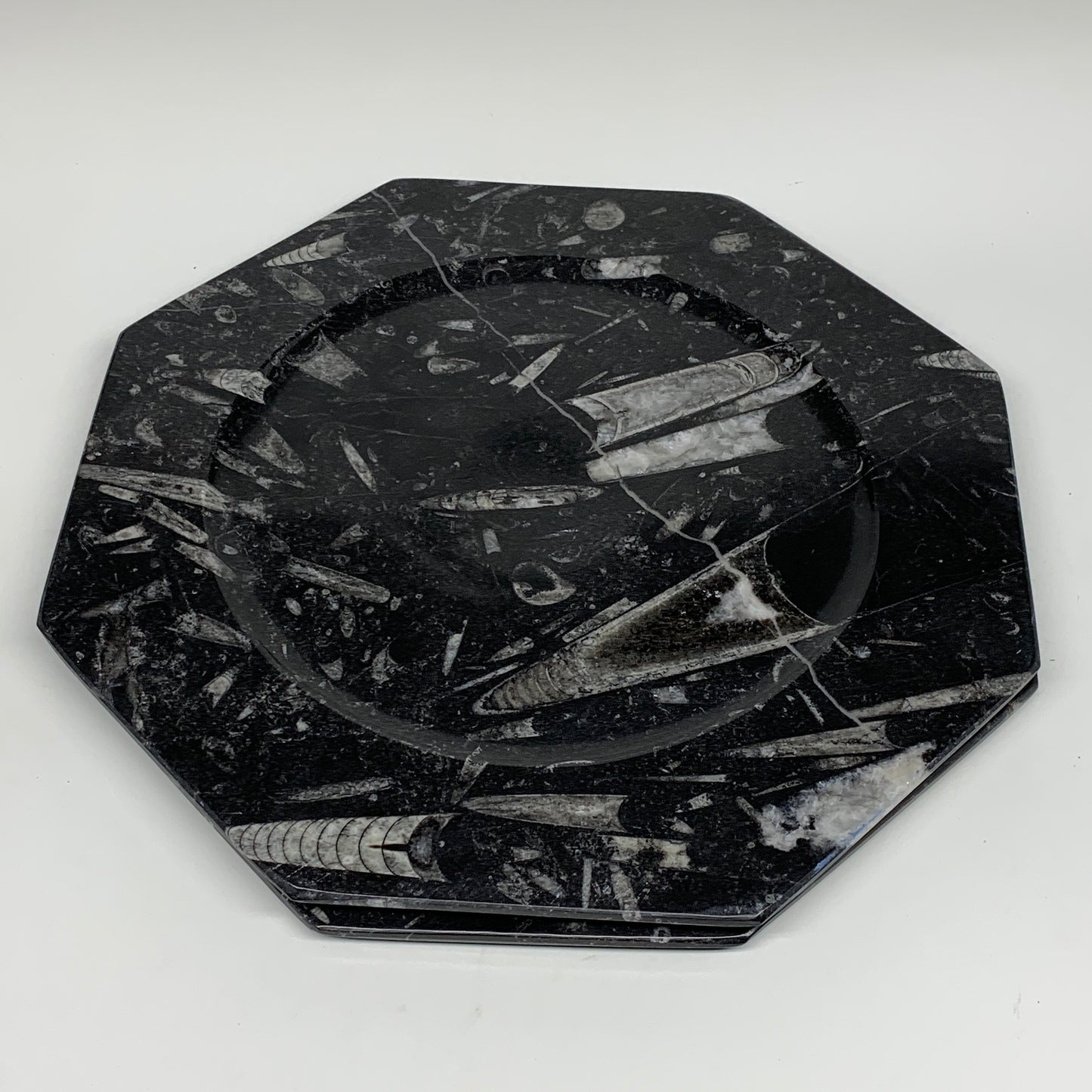 2pcs, 12" Large Octagon Shape Black Fossils Orthoceras Plates @Morocco, B8304