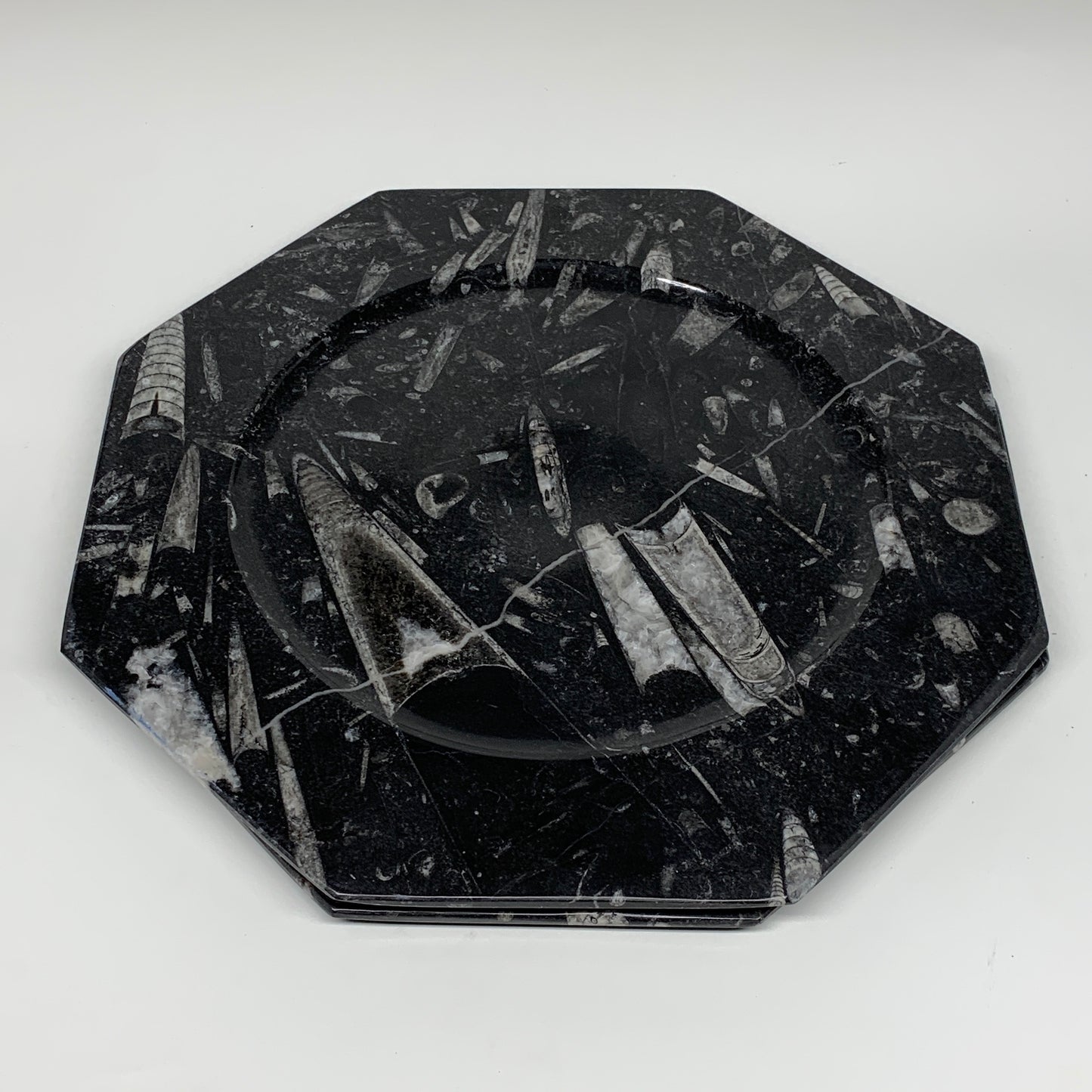 2pcs, 12" Large Octagon Shape Black Fossils Orthoceras Plates @Morocco, B8304
