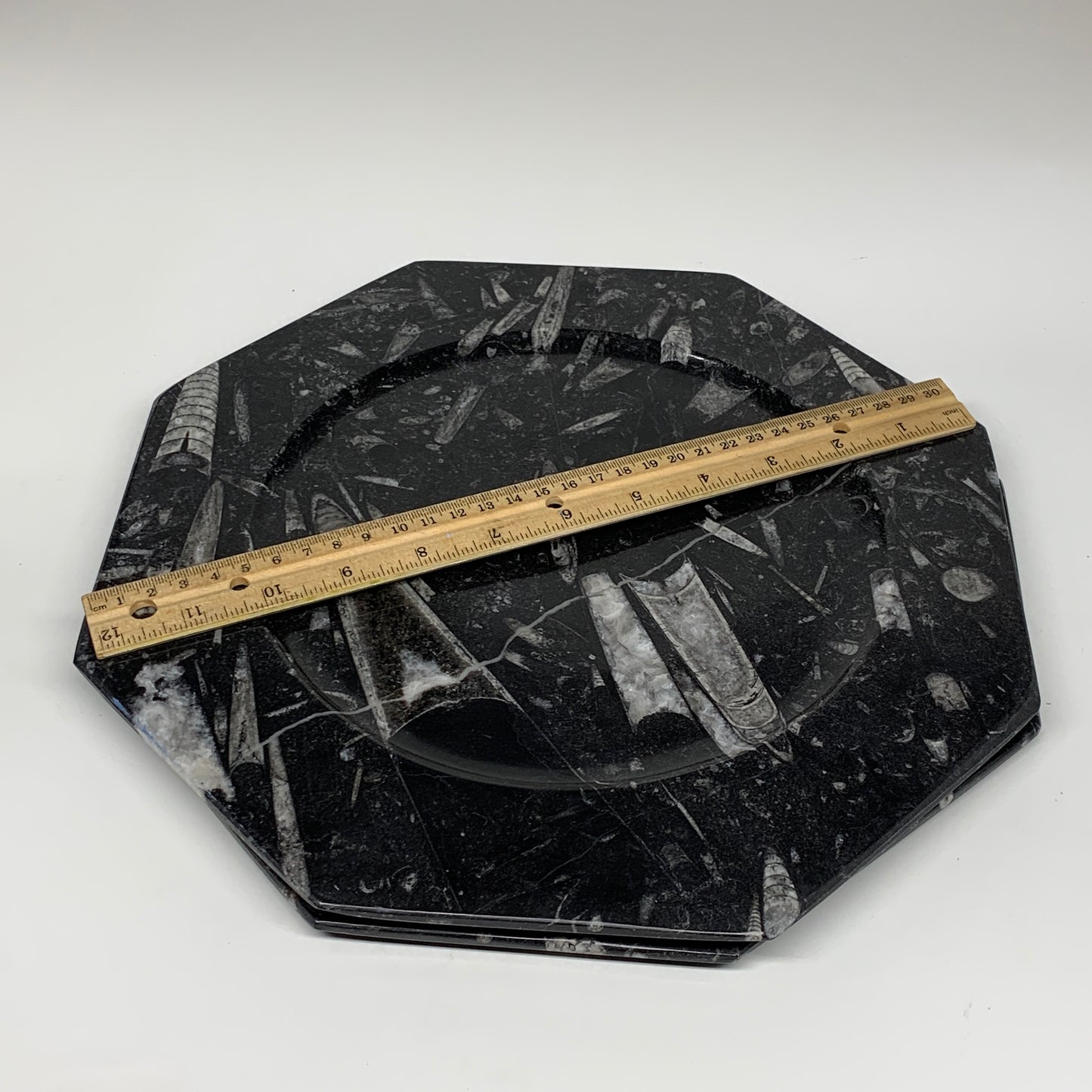 2pcs, 12" Large Octagon Shape Black Fossils Orthoceras Plates @Morocco, B8304