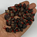 94.2g, 11-19mm, 36 Beads,Natural Rough Red Garnet Beads Strand Chips Chunk,B1317