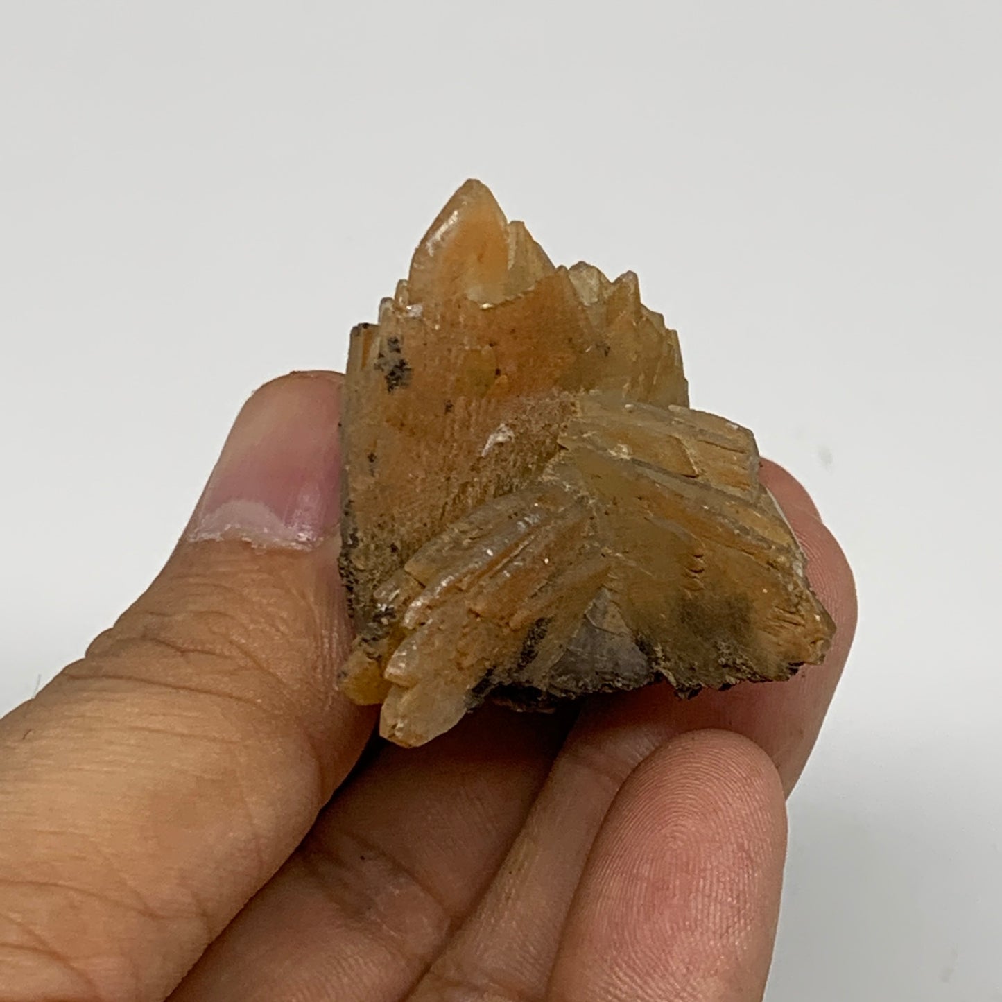 46.1g, 1.5"x2.3"x1.4", Small Blue Barite Mineral Specimen @Morocco, B10829