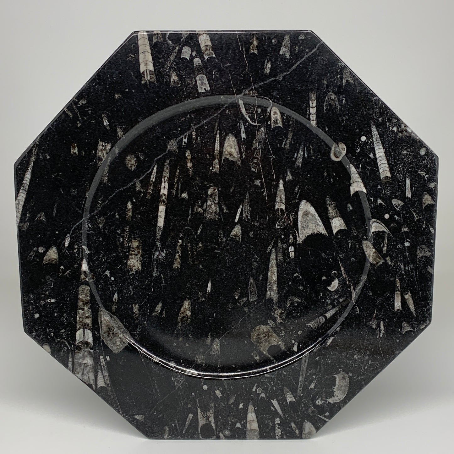 2pcs, 12" Large Octagon Shape Black Fossils Orthoceras Plates @Morocco, B8307