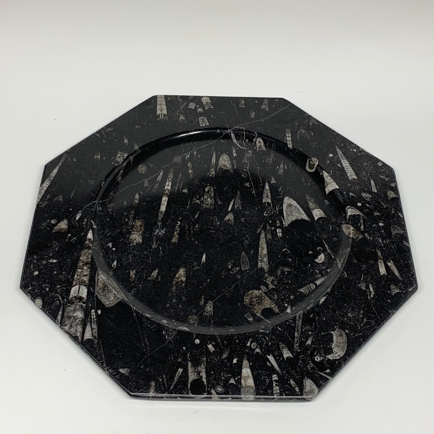 2pcs, 12" Large Octagon Shape Black Fossils Orthoceras Plates @Morocco, B8307