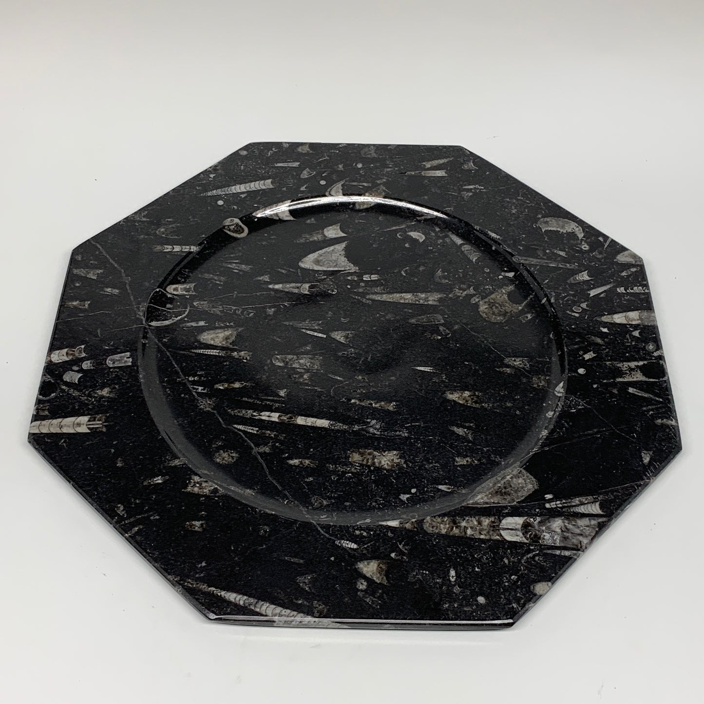 2pcs, 12" Large Octagon Shape Black Fossils Orthoceras Plates @Morocco, B8307