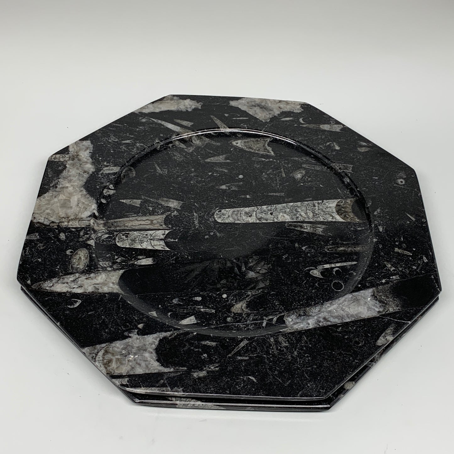 2pcs, 12" Large Octagon Shape Black Fossils Orthoceras Plates @Morocco, B8307