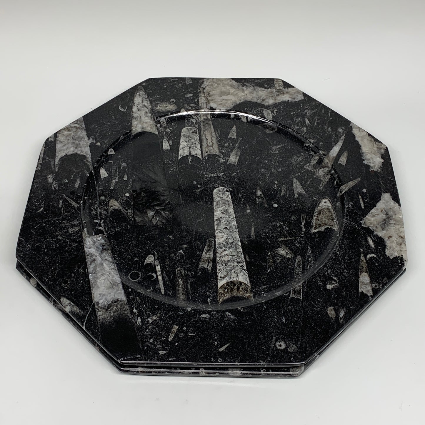 2pcs, 12" Large Octagon Shape Black Fossils Orthoceras Plates @Morocco, B8307