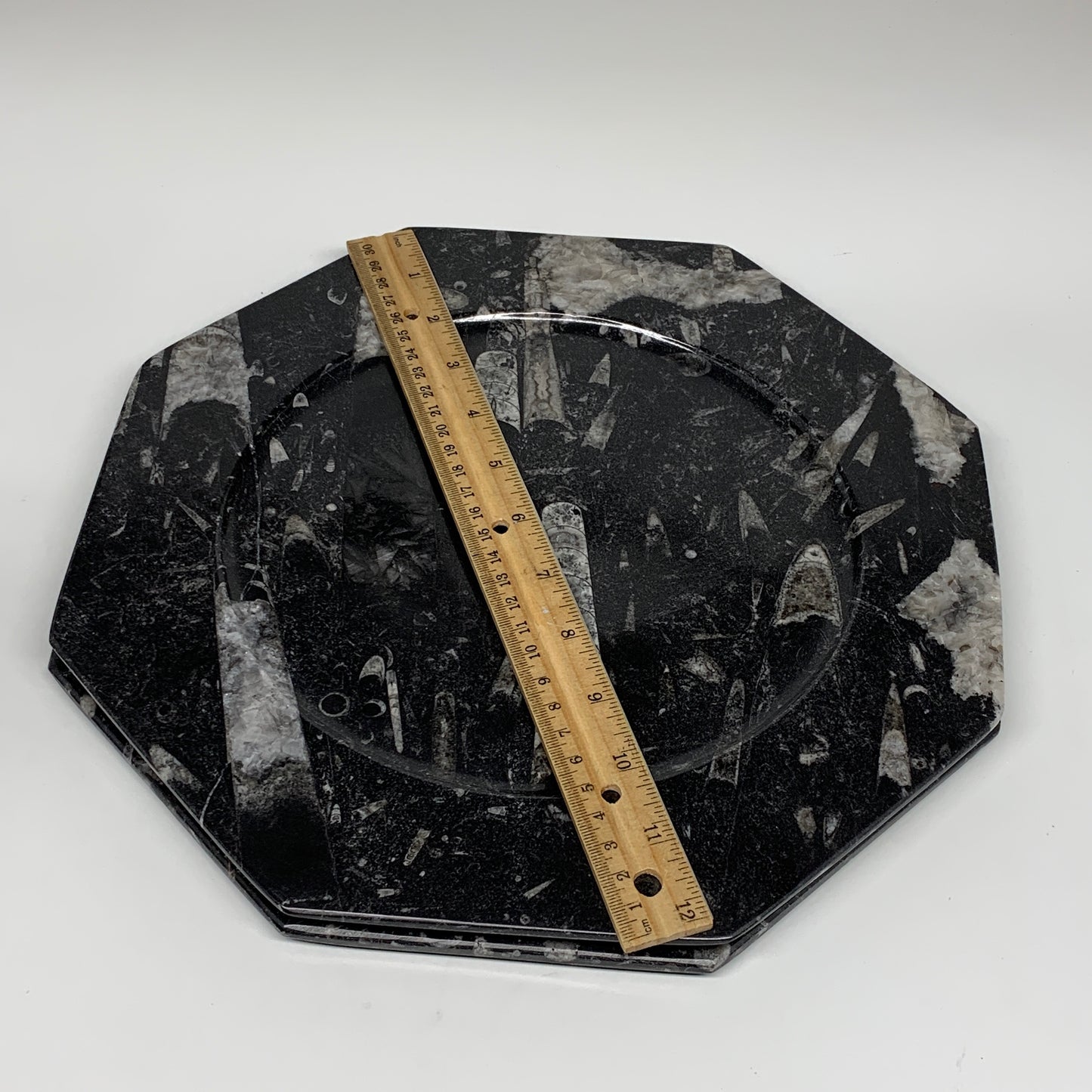 2pcs, 12" Large Octagon Shape Black Fossils Orthoceras Plates @Morocco, B8307