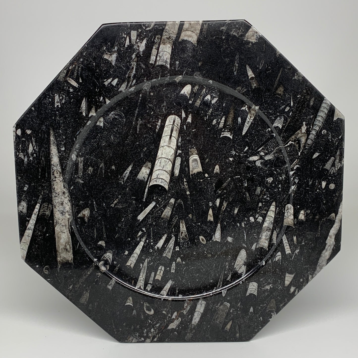 2pcs, 12" Large Octagon Shape Black Fossils Orthoceras Plates @Morocco, B8308