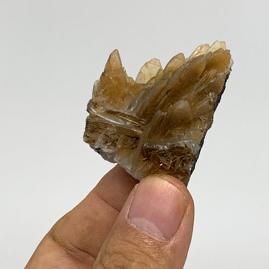 41.7g, 1.6"x1.3"x1.1", Small Blue Barite Mineral Specimen @Morocco, B10831