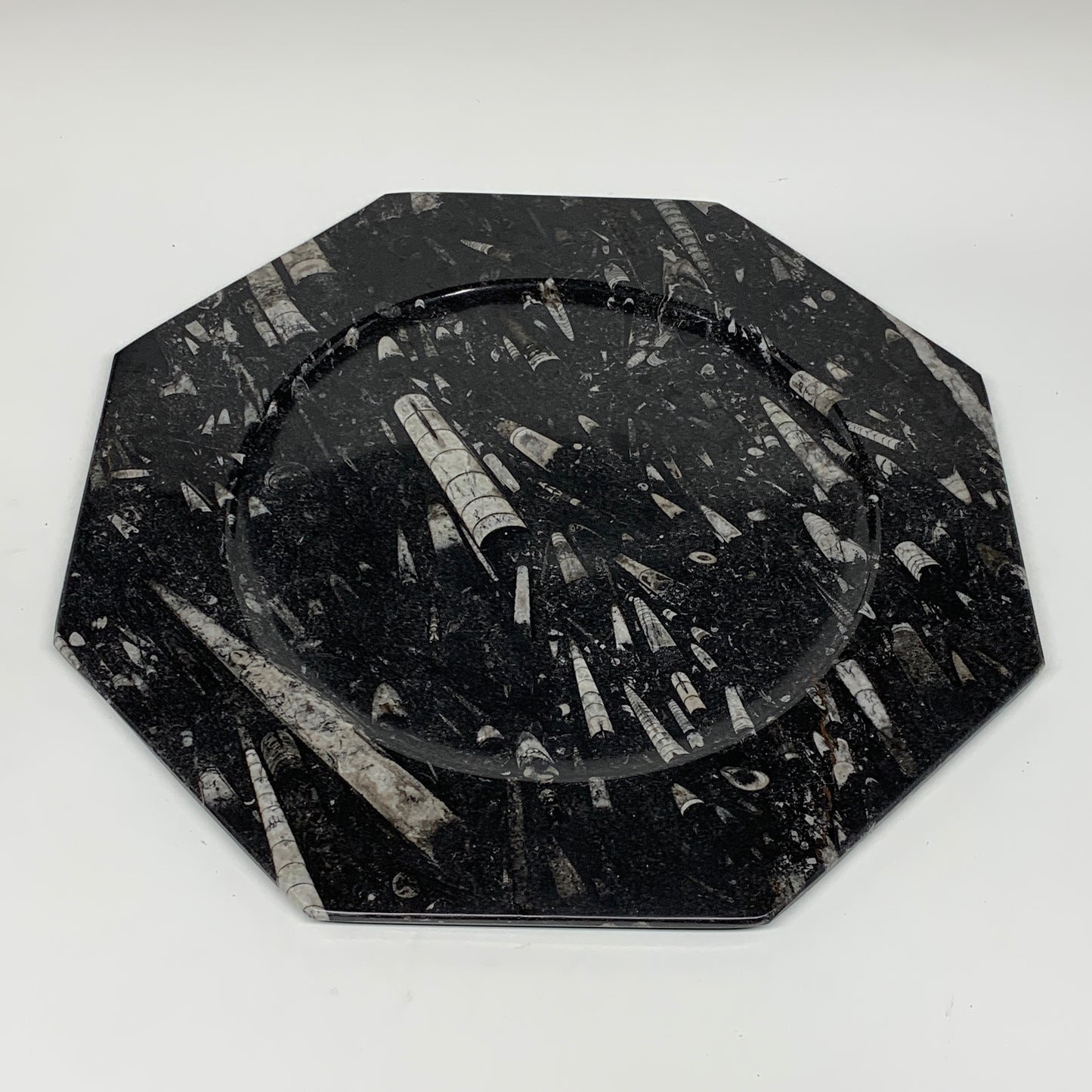 2pcs, 12" Large Octagon Shape Black Fossils Orthoceras Plates @Morocco, B8308