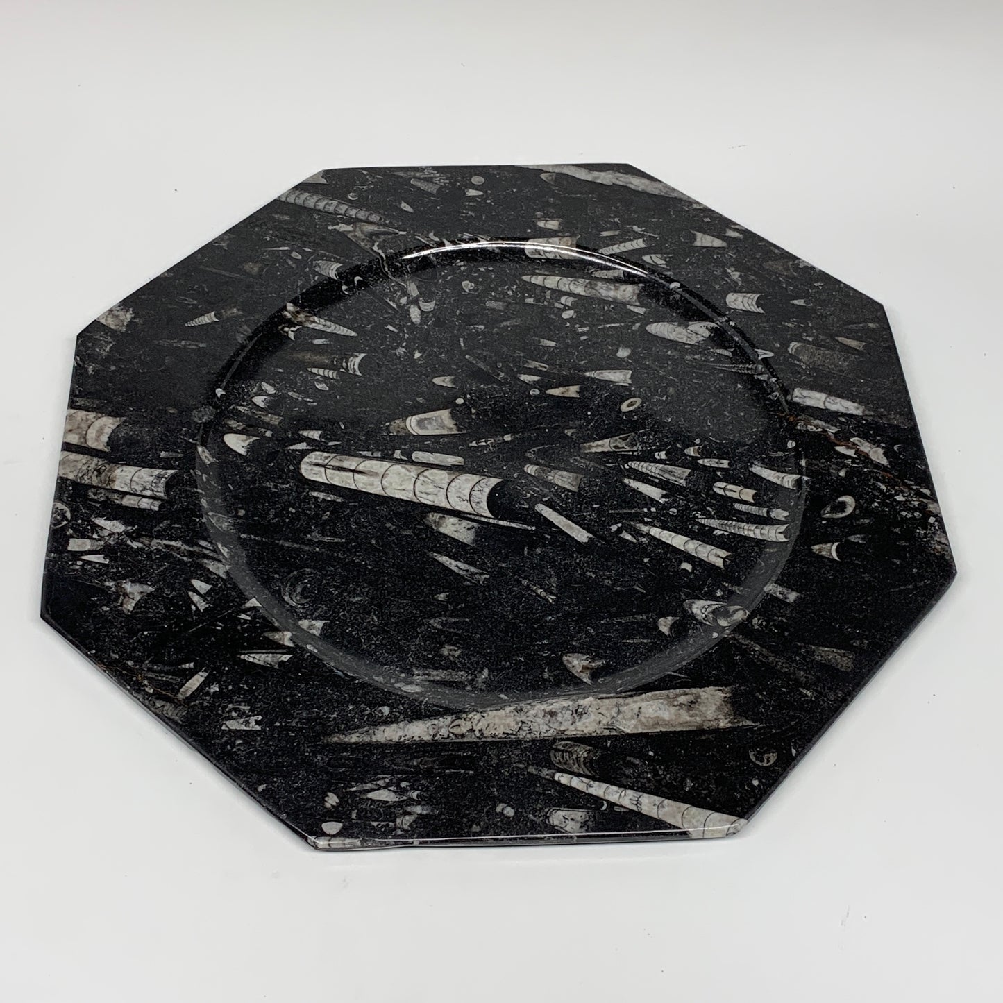 2pcs, 12" Large Octagon Shape Black Fossils Orthoceras Plates @Morocco, B8308