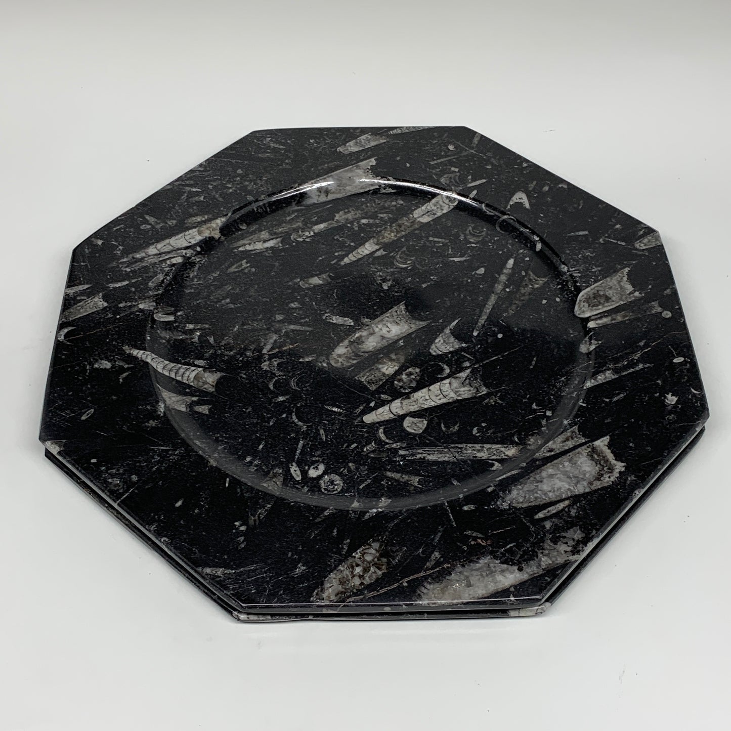 2pcs, 12" Large Octagon Shape Black Fossils Orthoceras Plates @Morocco, B8308