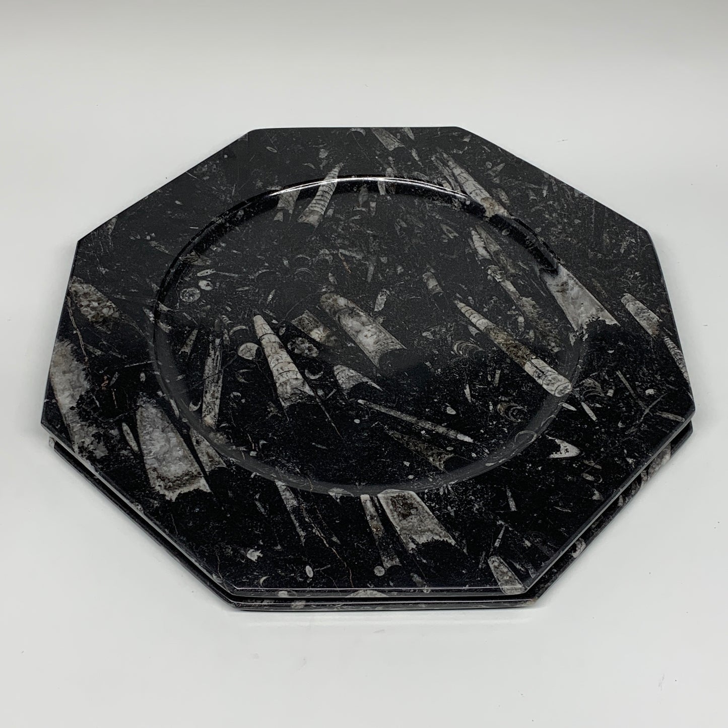 2pcs, 12" Large Octagon Shape Black Fossils Orthoceras Plates @Morocco, B8308