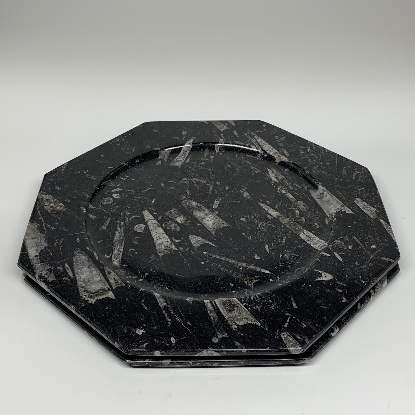 2pcs, 12" Large Octagon Shape Black Fossils Orthoceras Plates @Morocco, B8308