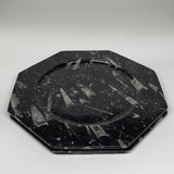 2pcs, 12" Large Octagon Shape Black Fossils Orthoceras Plates @Morocco, B8308