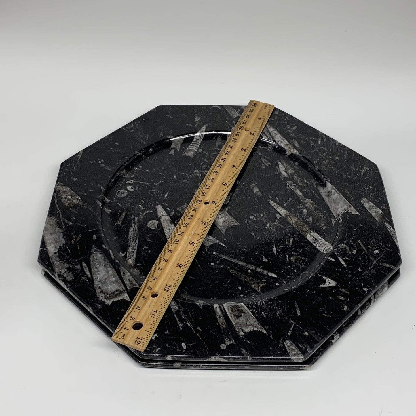 2pcs, 12" Large Octagon Shape Black Fossils Orthoceras Plates @Morocco, B8308