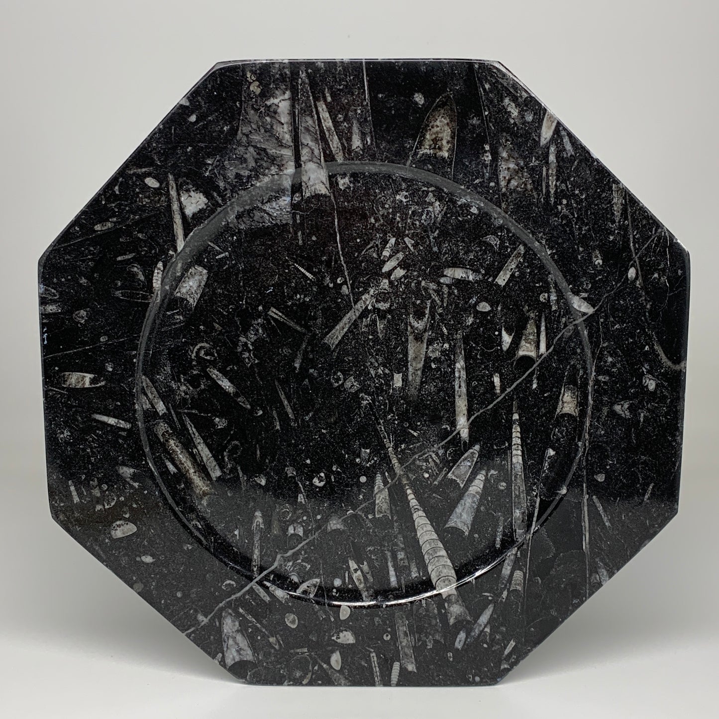 2pcs, 12" Large Octagon Shape Black Fossils Orthoceras Plates @Morocco, B8310