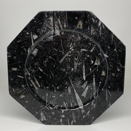 2pcs, 12" Large Octagon Shape Black Fossils Orthoceras Plates @Morocco, B8310