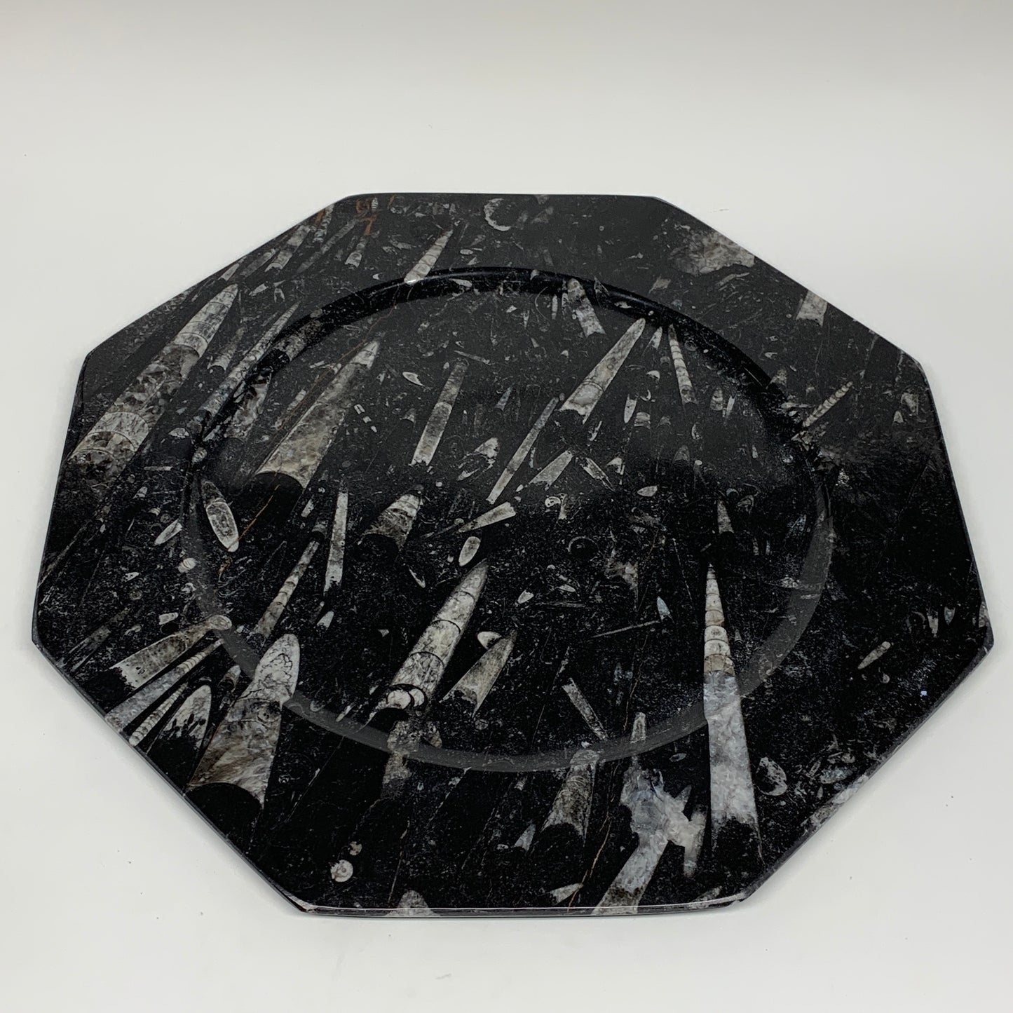 2pcs, 12" Large Octagon Shape Black Fossils Orthoceras Plates @Morocco, B8310