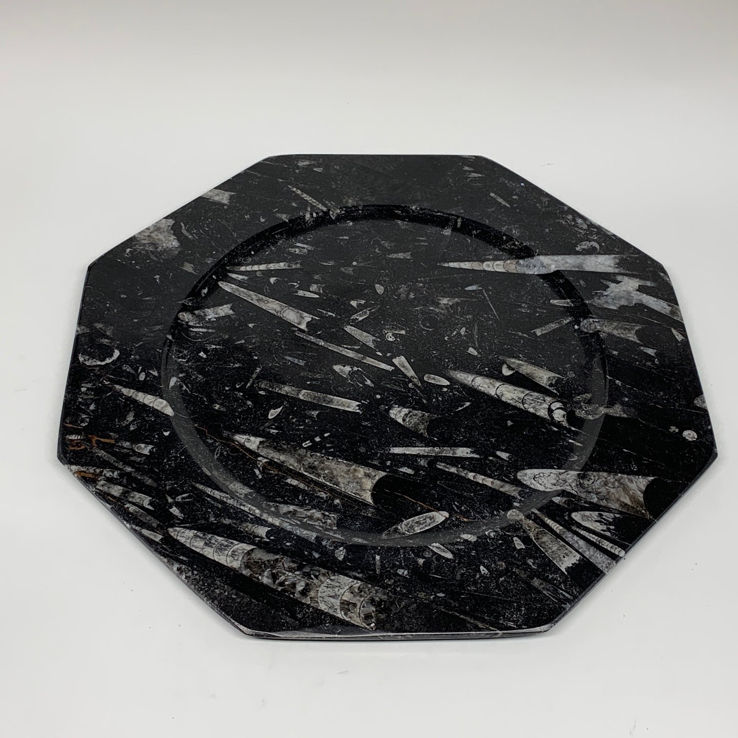 2pcs, 12" Large Octagon Shape Black Fossils Orthoceras Plates @Morocco, B8310