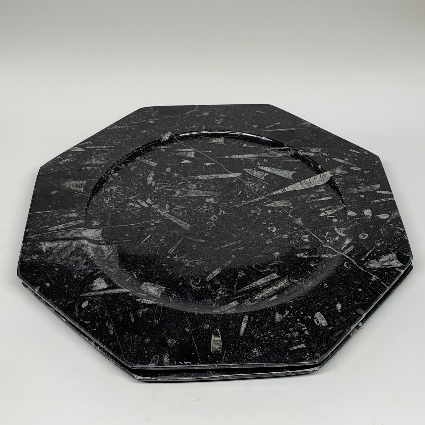 2pcs, 12" Large Octagon Shape Black Fossils Orthoceras Plates @Morocco, B8310