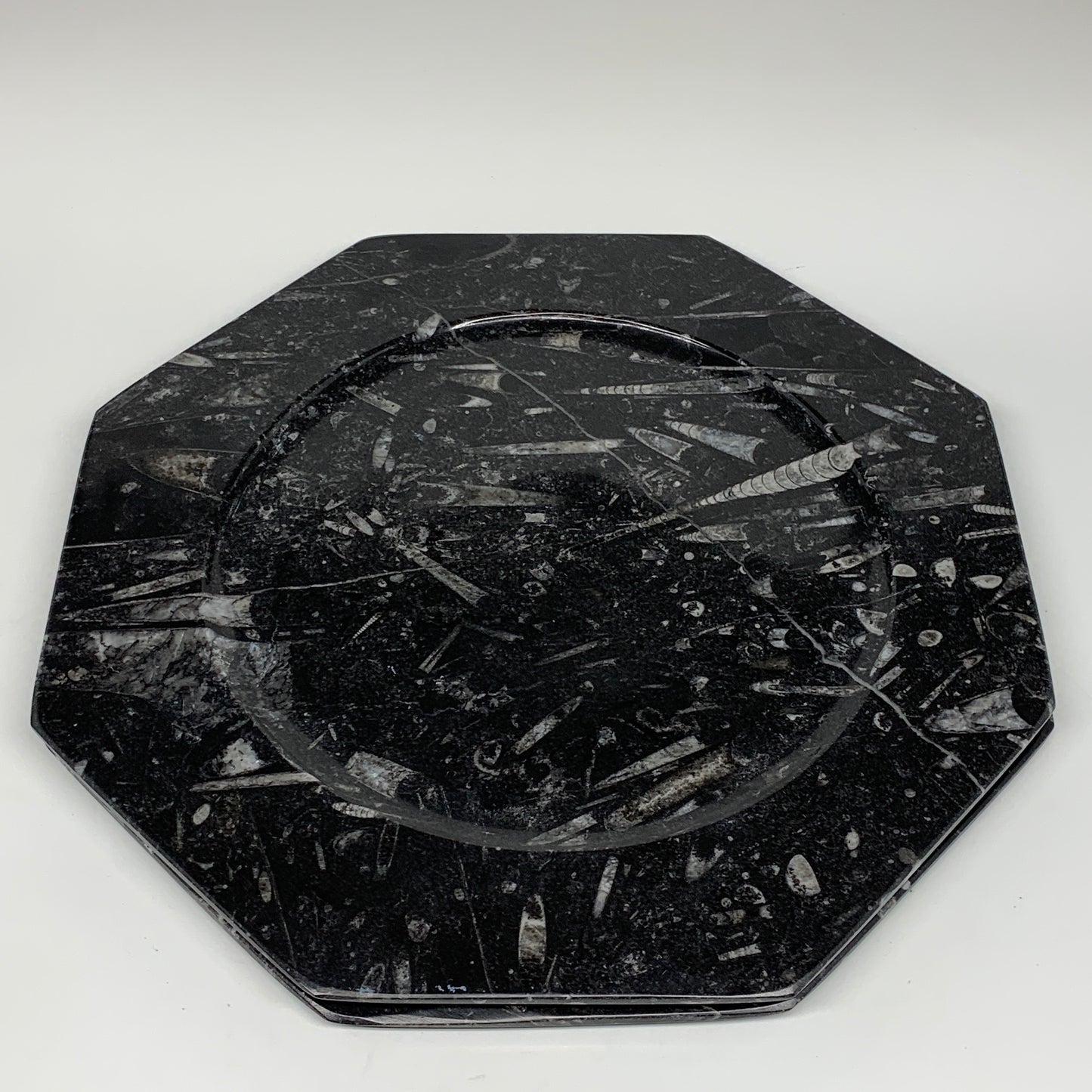 2pcs, 12" Large Octagon Shape Black Fossils Orthoceras Plates @Morocco, B8310