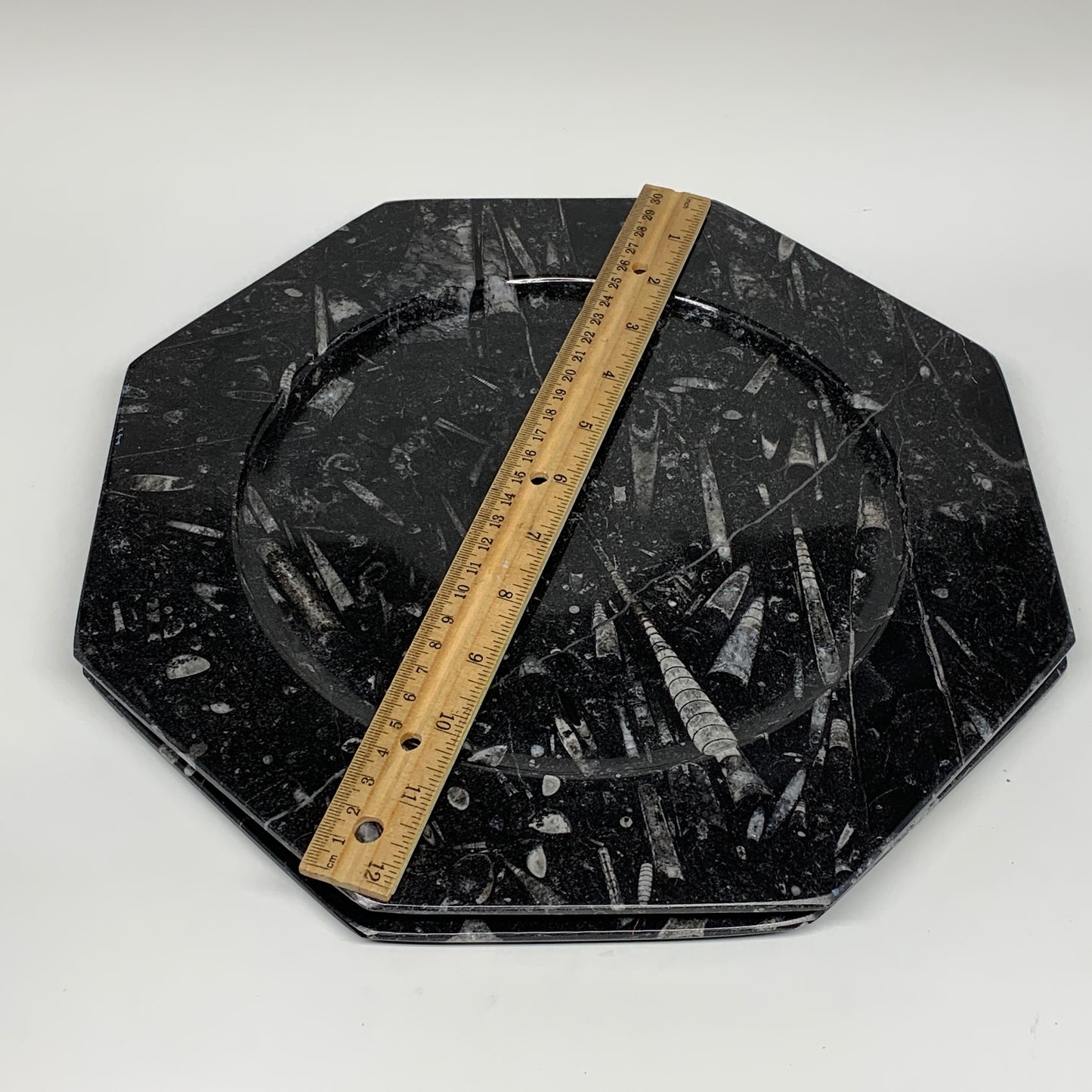 2pcs, 12" Large Octagon Shape Black Fossils Orthoceras Plates @Morocco, B8310